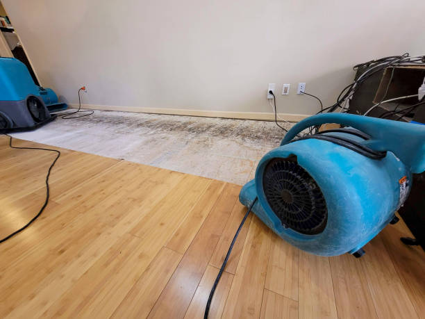 Professional Water Removal technician working in Granite Canon, WY